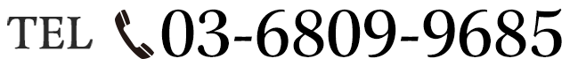 03-6809-9685